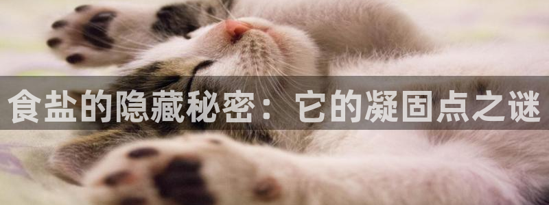 威九国际网站入口官网首页下载