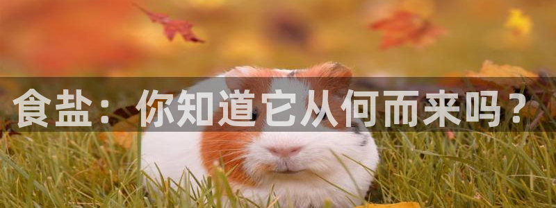 威九国际Sxsx