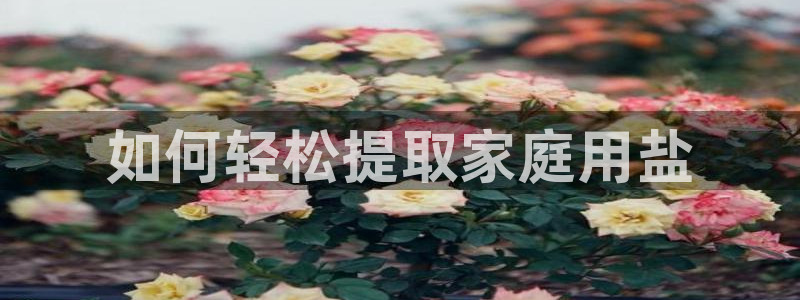 威九国际APP