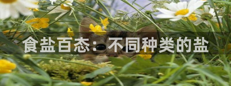 威九国际78M.APP