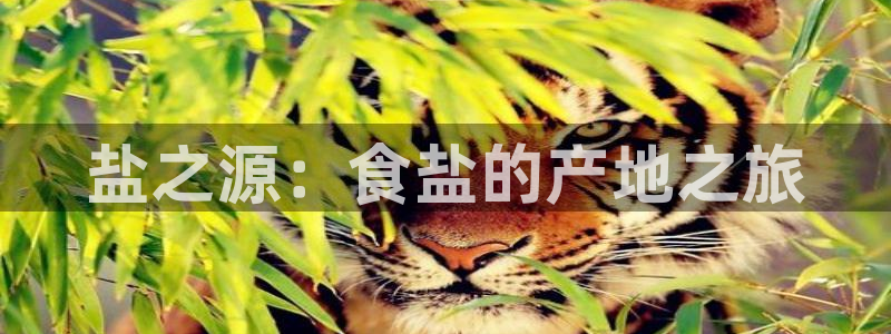 威九国际官网在线进入网站查询