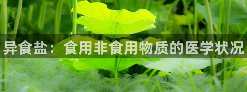 威九国际坑人的嘛