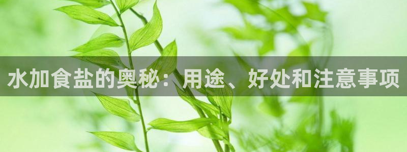 威九国际mm