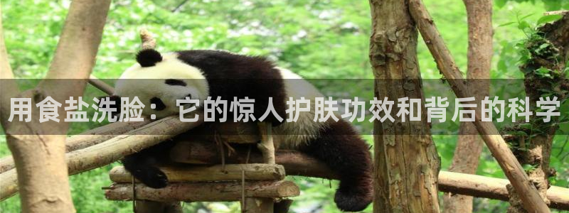 威九国际第一页
