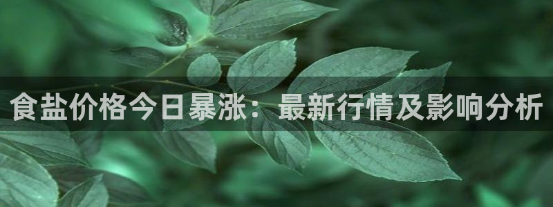 威九国际韩国