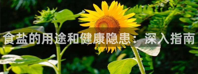 威九国际78mb42斗罗大陆