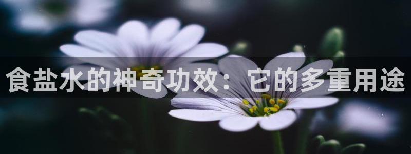 威九国际图片