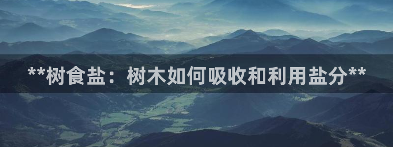 威九国际fX8x