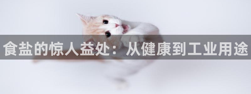 威九国际top