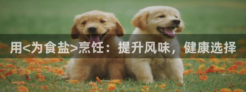 威九国际网站入口地址