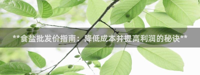 威九国际78免下载