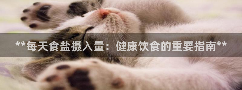 威九国际v96bet官网版