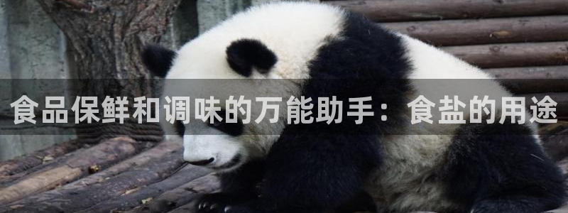 保定威九网络科技有限公司是干嘛的