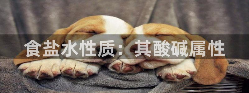 威九国际的网站入口在哪里