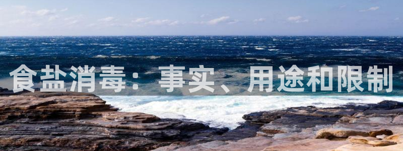 威九国际v96bet下载