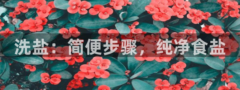 威九国际服