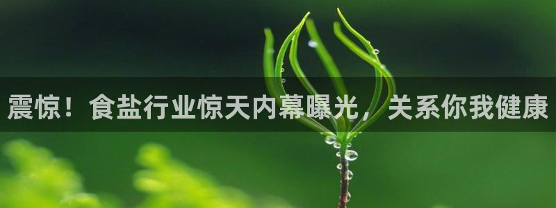 威九国际客服电话人工服务