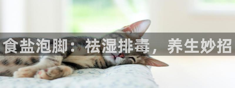 威九国际APP入口