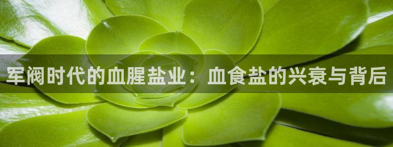 威九国际空降服务女演员名字