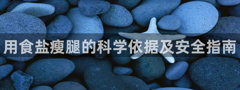 威九国际小说