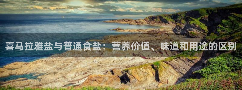 威九国际78mb特点