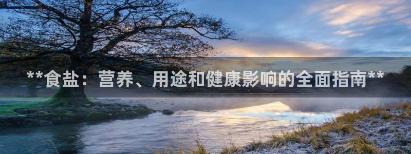 保定威九网络科技有限公司怎么样