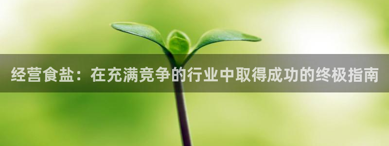 威九国际软件公司简介