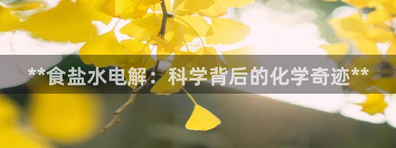 威九国际app大全下载安装