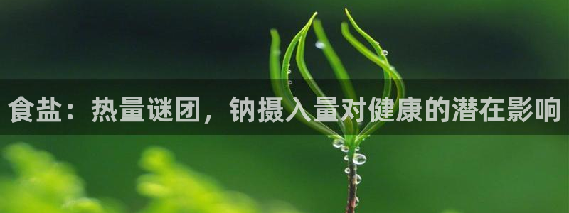 威九国际取款