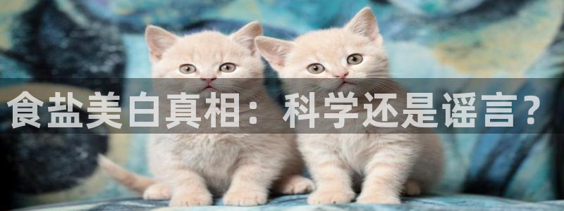 威九国际的网站入口在哪里