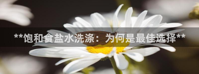 威九国际app客服电话