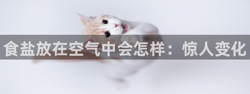 威九国际合作伙伴有哪些