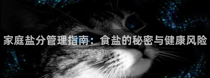 威九国际网站入口地址查询