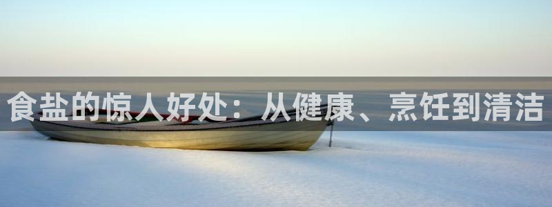 保定威九网络科技有限公司是干嘛的