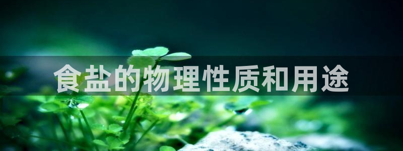 威九国际真人玩家在线对战