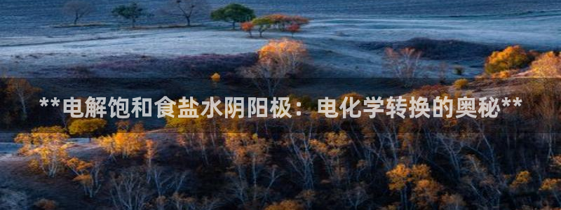 威九国际78