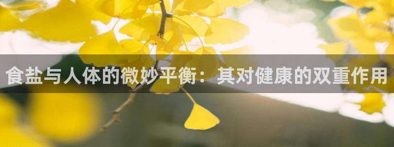 78mapp威九国际官网
