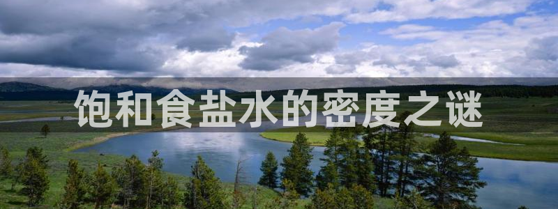 威九国际app网站官网
