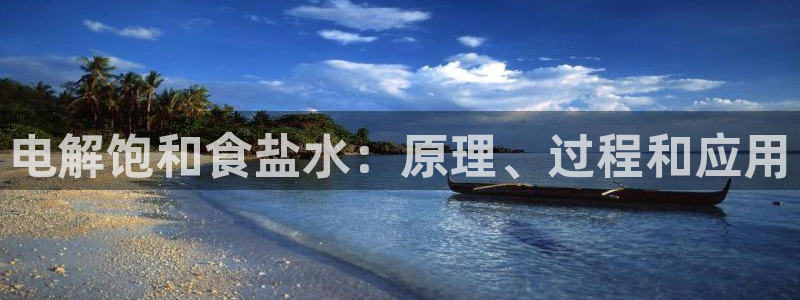 威九国际游戏