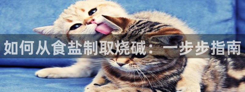 66m成长模式视频威九国际视频