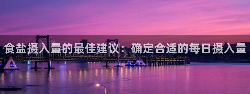 威九国际软件
