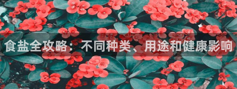 威九国际66m-66