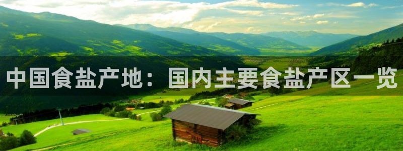 威九国际的女主