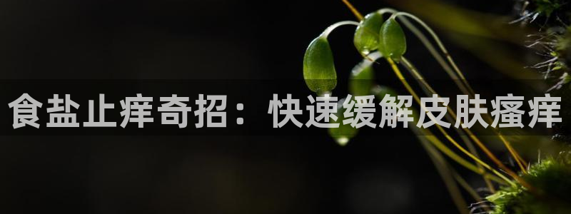 威九国际体育app下载
