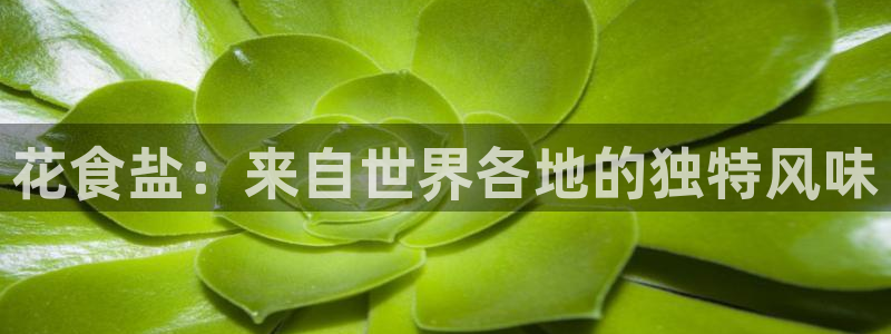 威九国际正规吗