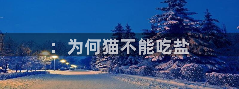 威九国际客服电话是多少