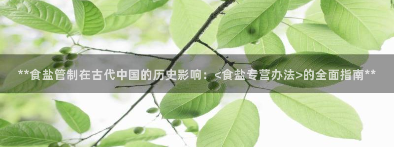 威九国际X8