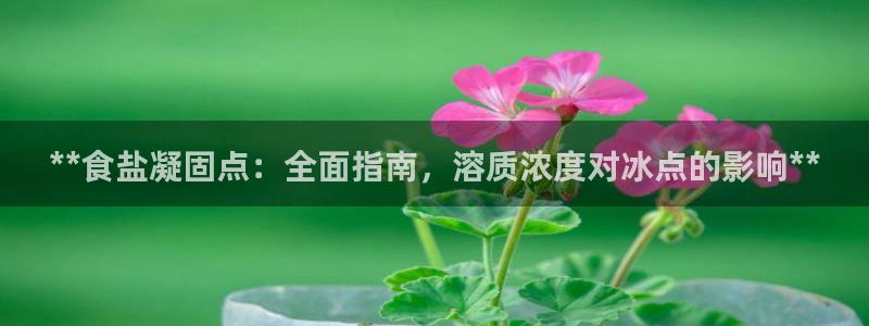 威九国际app客服电话