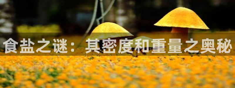 威九国际软件公司简介