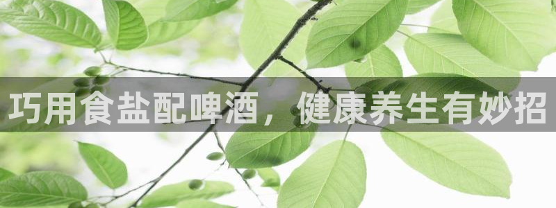 威九国际网站入口官网免费下载